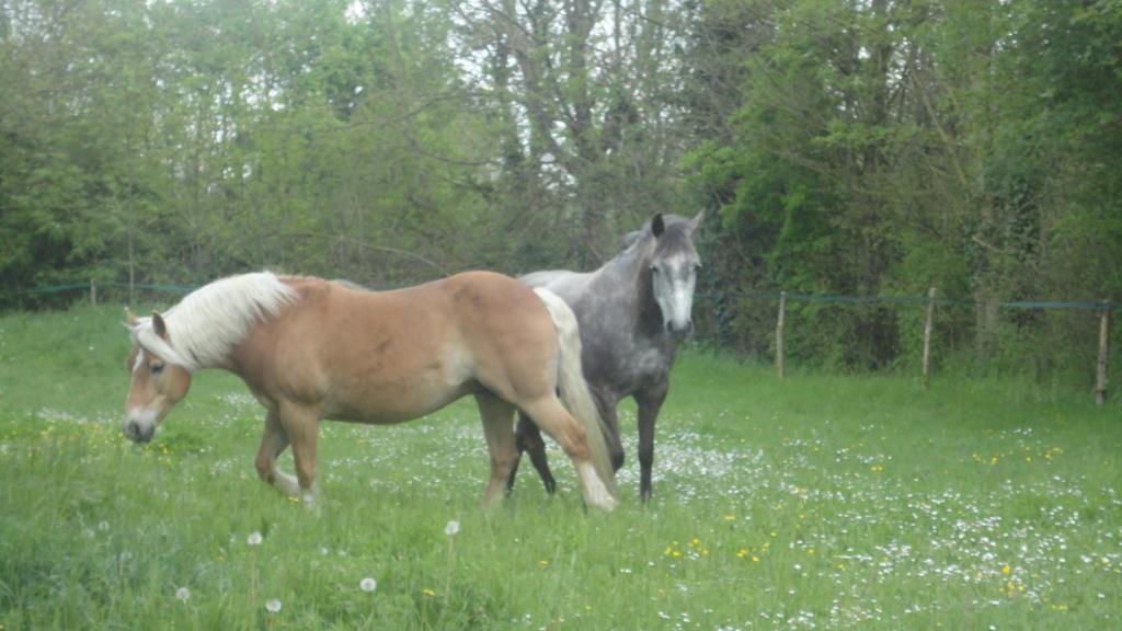 Bed and Breakfast Les 2 Madeleine Saint-Saturnin-du-Bois Exterior foto