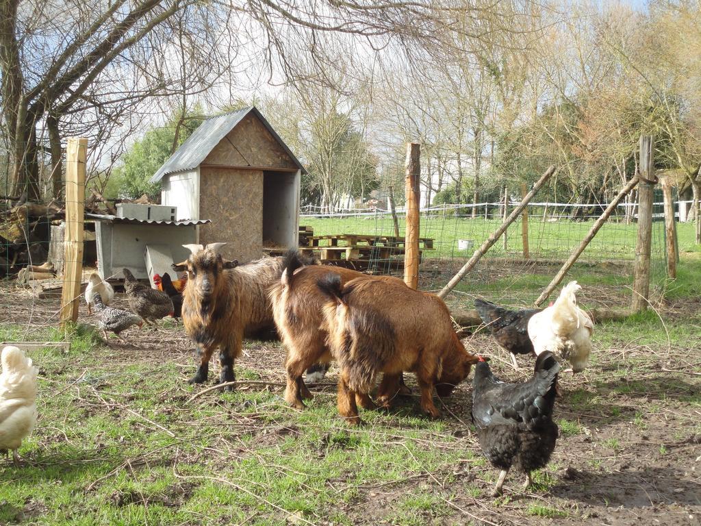 Bed and Breakfast Les 2 Madeleine Saint-Saturnin-du-Bois Exterior foto