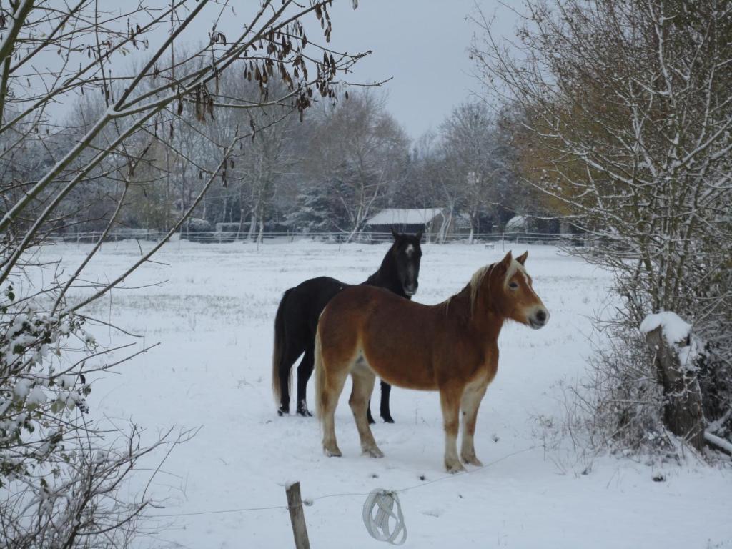 Bed and Breakfast Les 2 Madeleine Saint-Saturnin-du-Bois Exterior foto